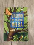 Drzewo do samego nieba