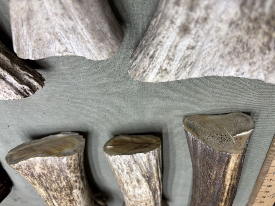 Масивні заготовки рог