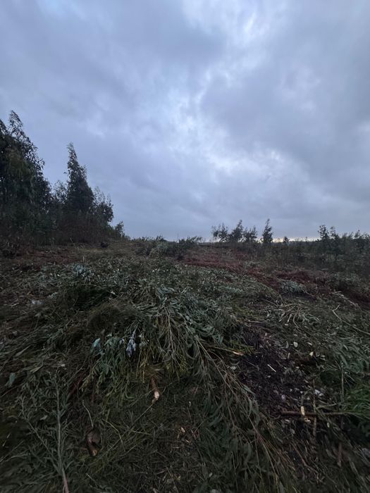 Vendo Terreno Canedo