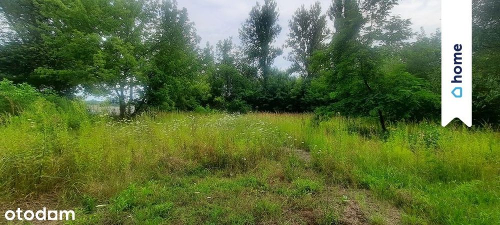 Działka pod zabudowę szeregową lub wielorodzinną