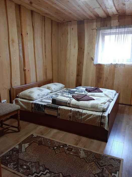 Берегове. с. Дийда  Котедж  VillaDAn, біля термальних басейнів