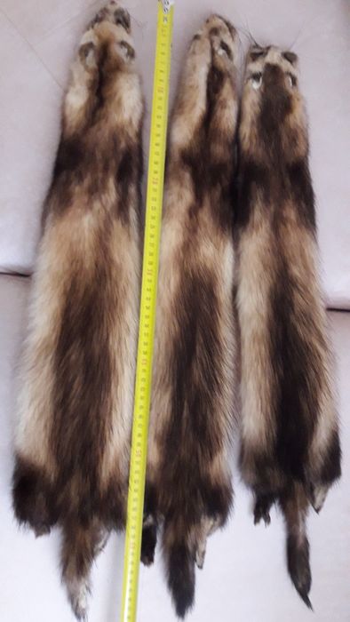 Продам шкіри норки та фредки.