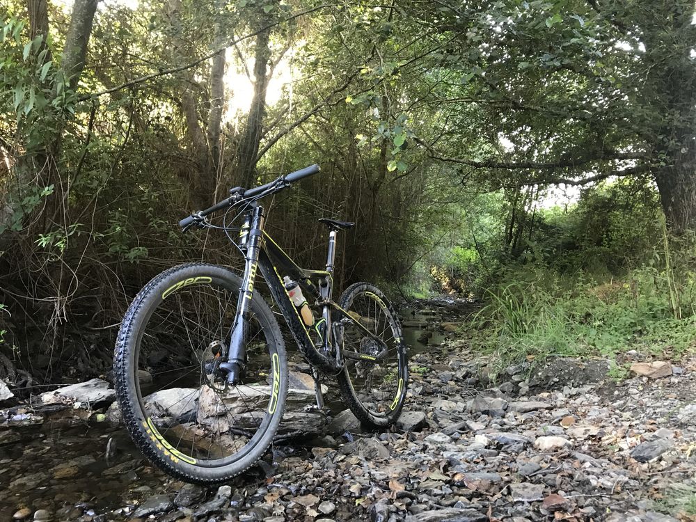 Cannondale Scalpel 01 (2017)