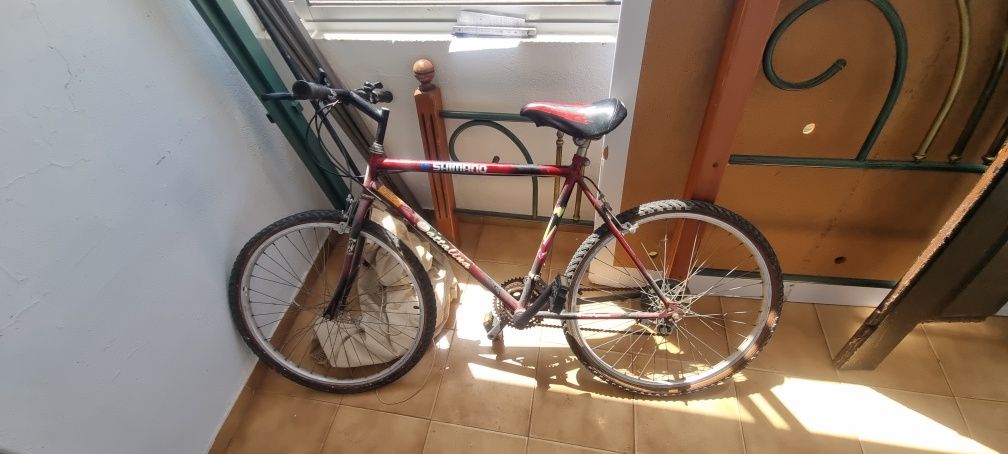 Bicicleta Cattalina