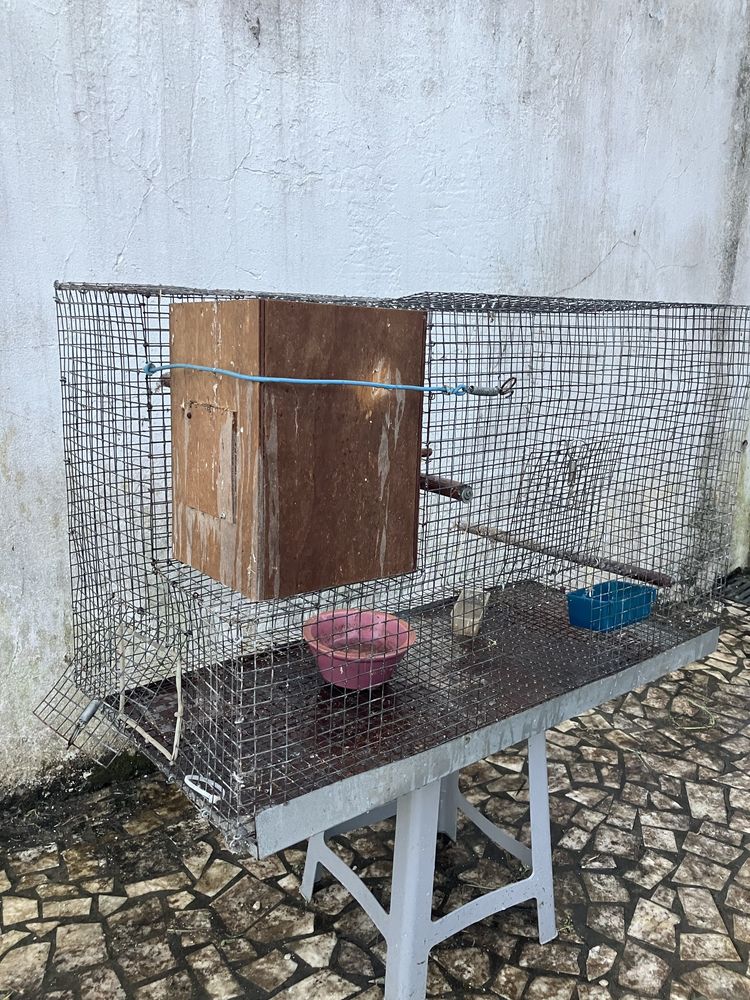Viveiros para pássaros