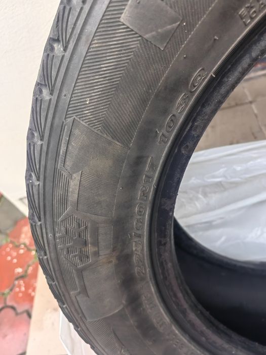 Nexen WIN GUARD ICE SUV 225/60 R17