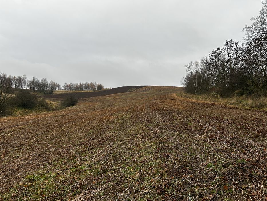 Sprzedam 2 działki w Gostkowie 1,38 i 0,301 ha