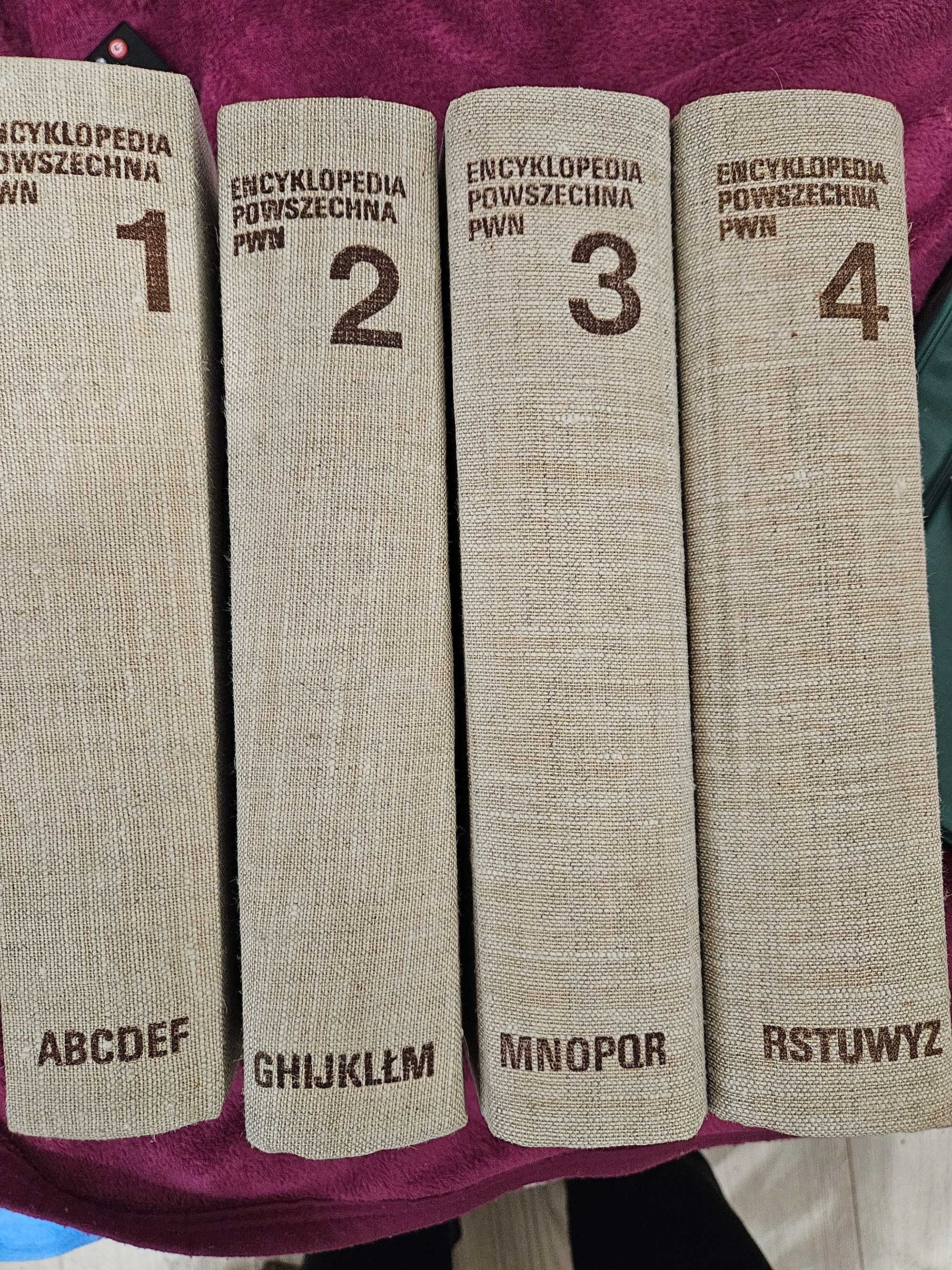 Encyklopedia Powszechna PWN 4 tomowa