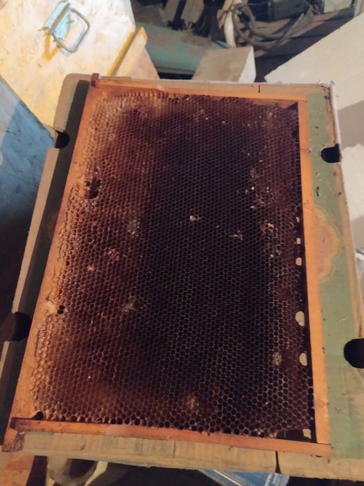 Улики из ОСБ и рамки.