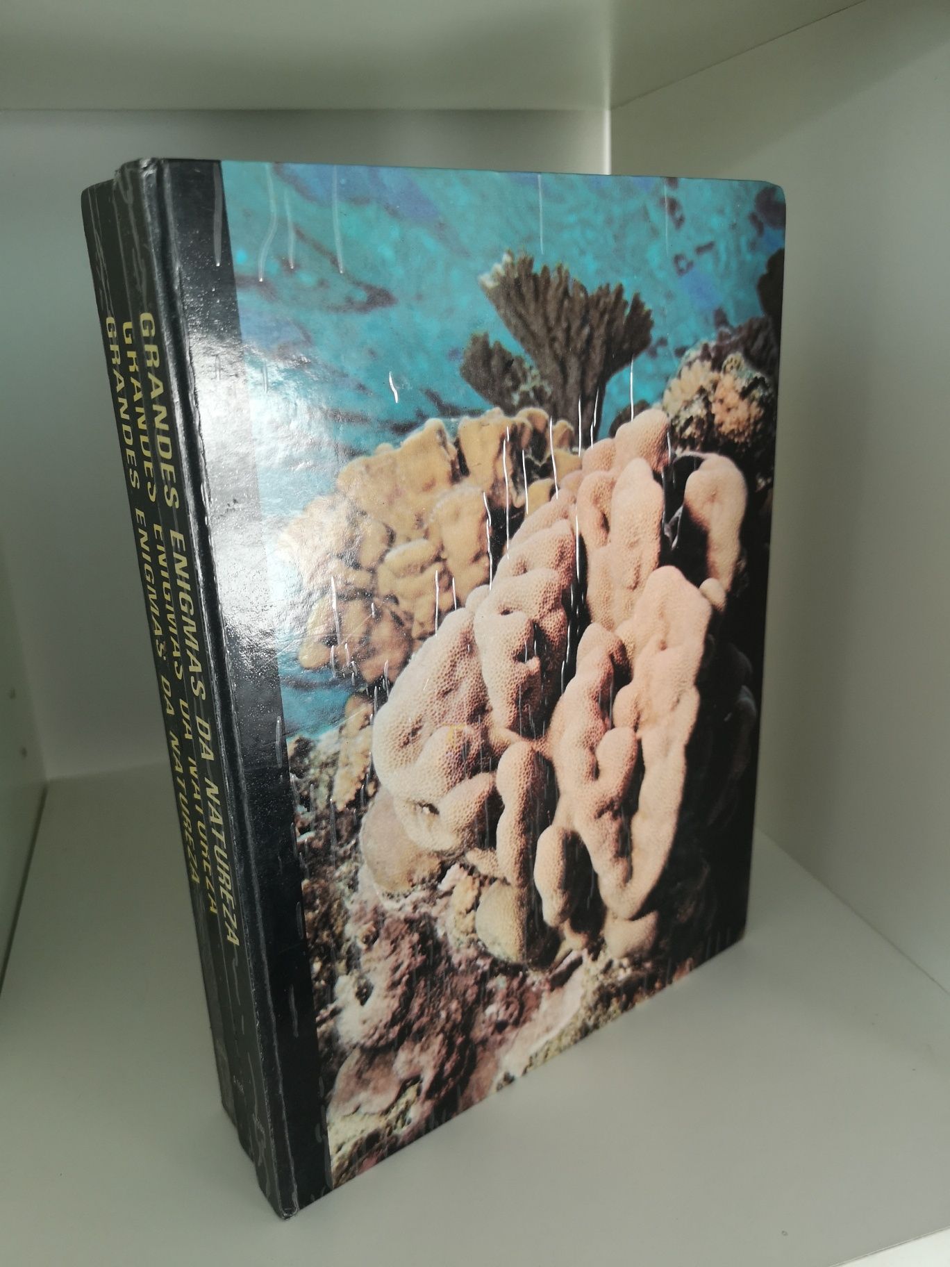 Livros - Grandes Enigmas da Natureza
