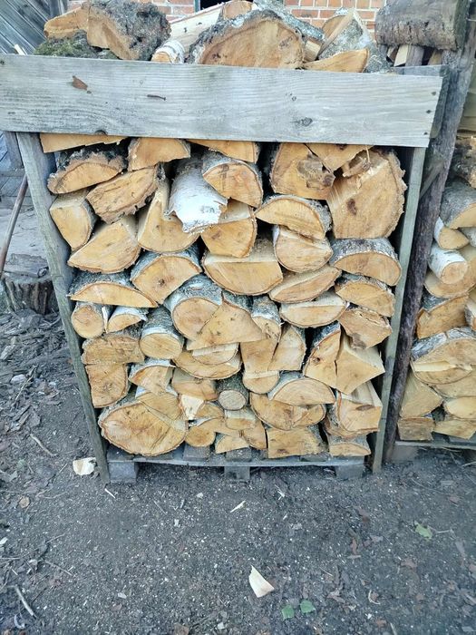 Drzewo sosnowe i brzozowe suche