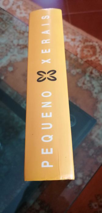 Dicionário Galego-Portugues