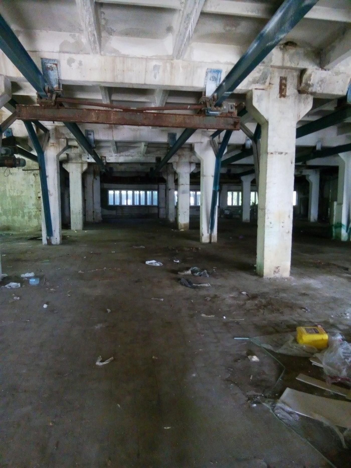 Виробничий комплекс, територія 40 соток, кран-балки, ліфт