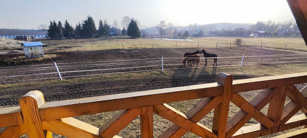 Domek drewniany z bala Nad jeziorem Stadnina koni OKAZJA