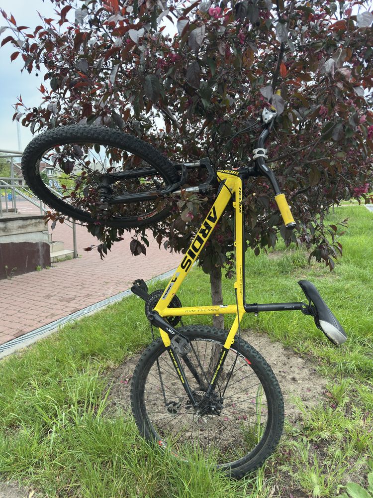 Ardis helios stunt
