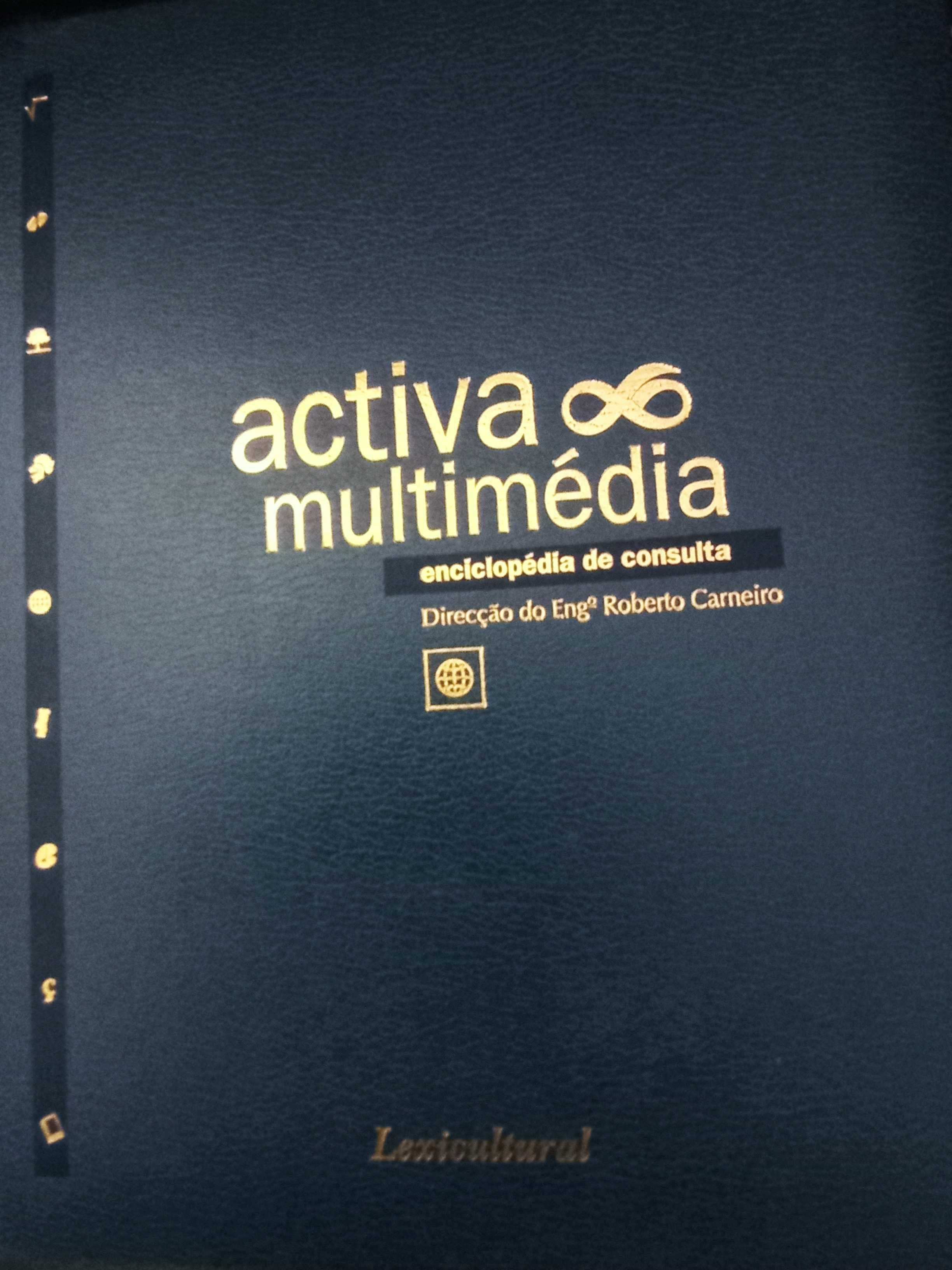 Enciclopédia Activa Multimédia Lexicultural 13 Volumes