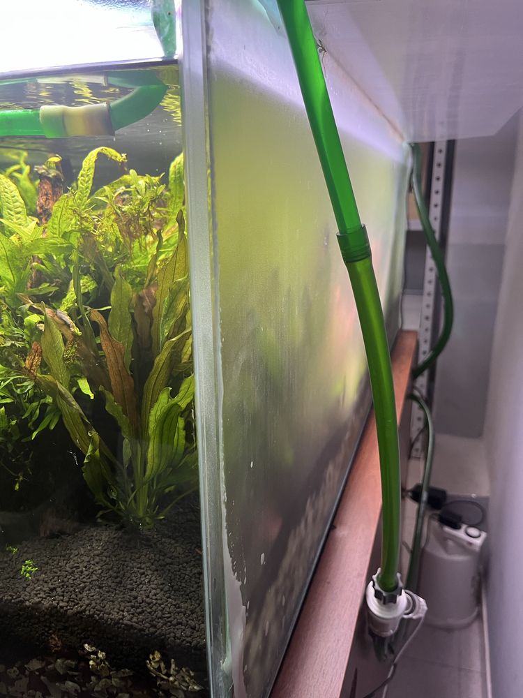 Aquario completo (215L)