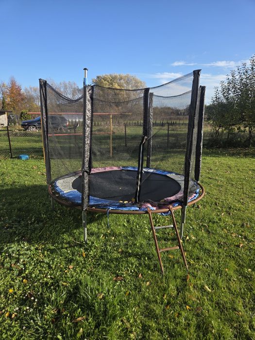 Za darmo.  Trampolina