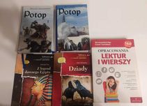 Lektura (potop, dziady, z legend dawnego Egiptu, opracowania) komplet
