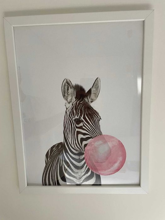 Decoração - Quadros Zebra Bubble Gum