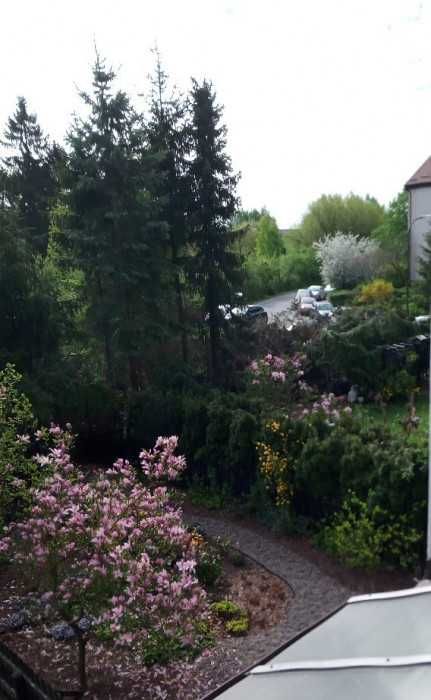 Pokój 14,5 m2 Gdańsk Matarnia, ul. Słowackiego/Elewów