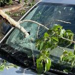 Автоскло для всіх марок авто | Продаж та заміна у Львові