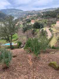 Terreno excelente vista para Rio Douro