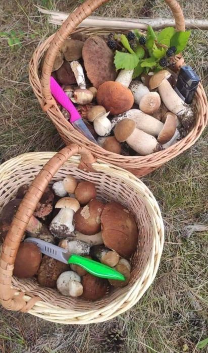 Кошик плетений з лози, корзина,для грибів на спаса