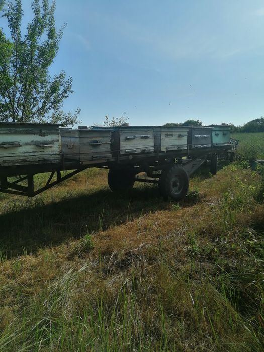 Продам два причіпи для пасіки