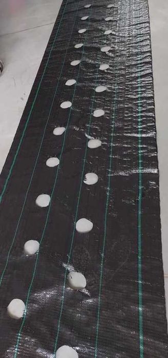 Agrotkanina P-90 1,1 m z otworami