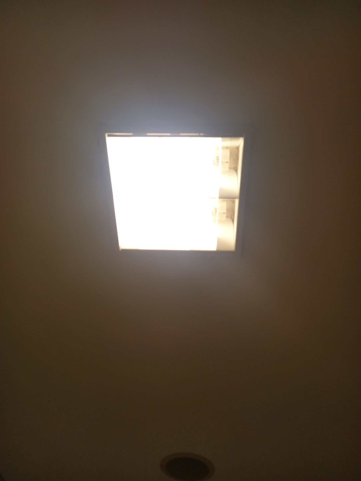 Iluminação de tecto conjunto de duas armaduras com lampadas