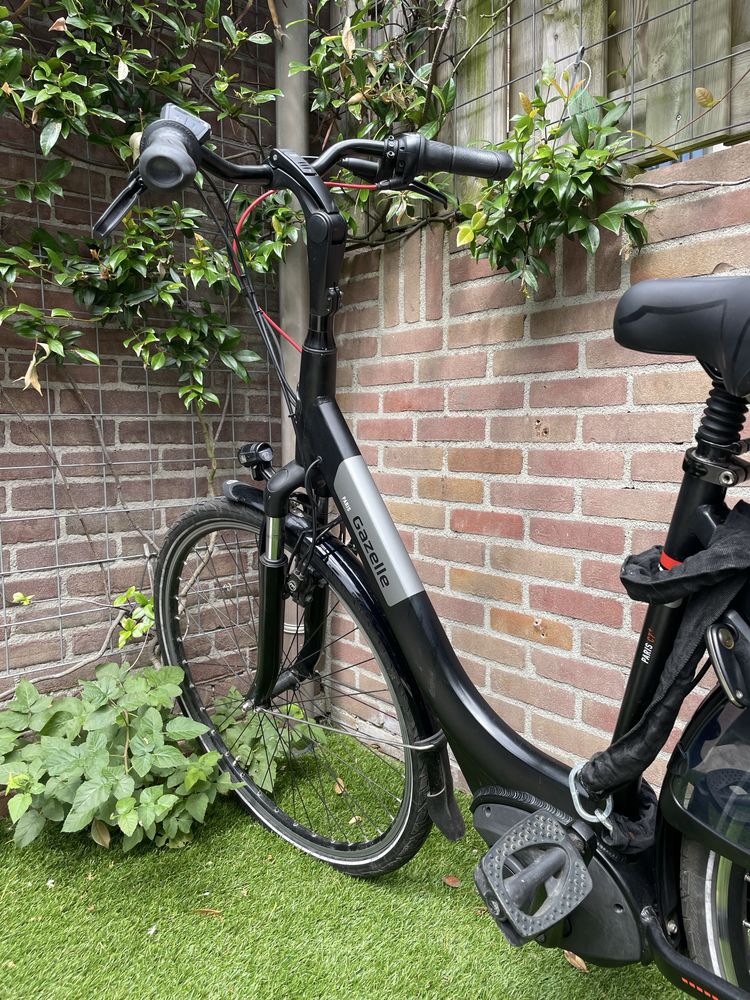 Gazelle Paris c7+