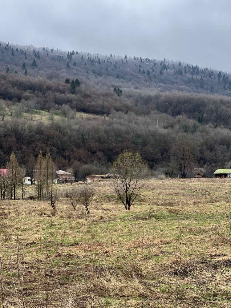 Продаж земельної ділянки село Урич Сколівського ОТГ