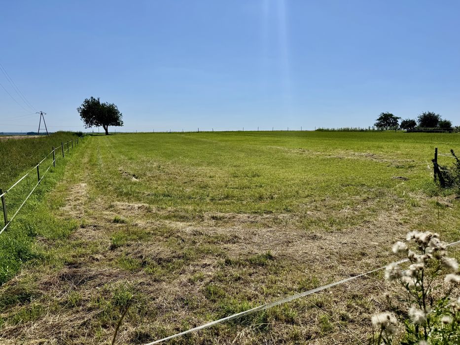 Na Sprzedaż Przestronny Dom 175m2 + 60 Arów Działka