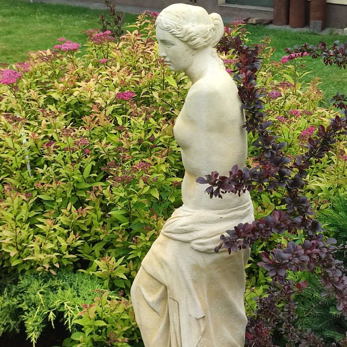 Rzeźba Ogrodowa Wenus