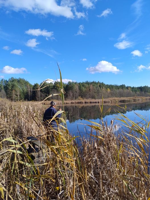Благоустрий работы на участке  обрезка спил деревьев розчистка корчева