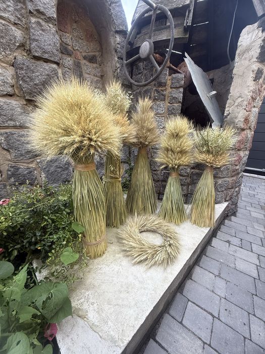 Діхухи снопи пшениці вироби з соломи