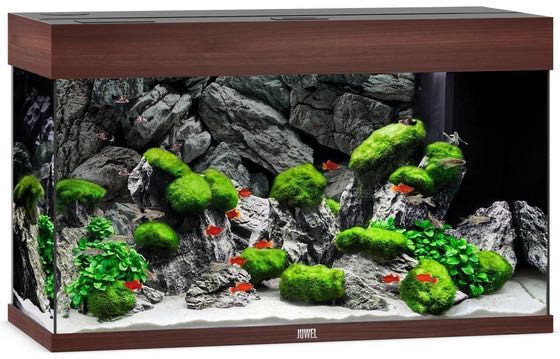 NOWE Akwarium Juwel Rio 125 LED, zestaw akwariowy