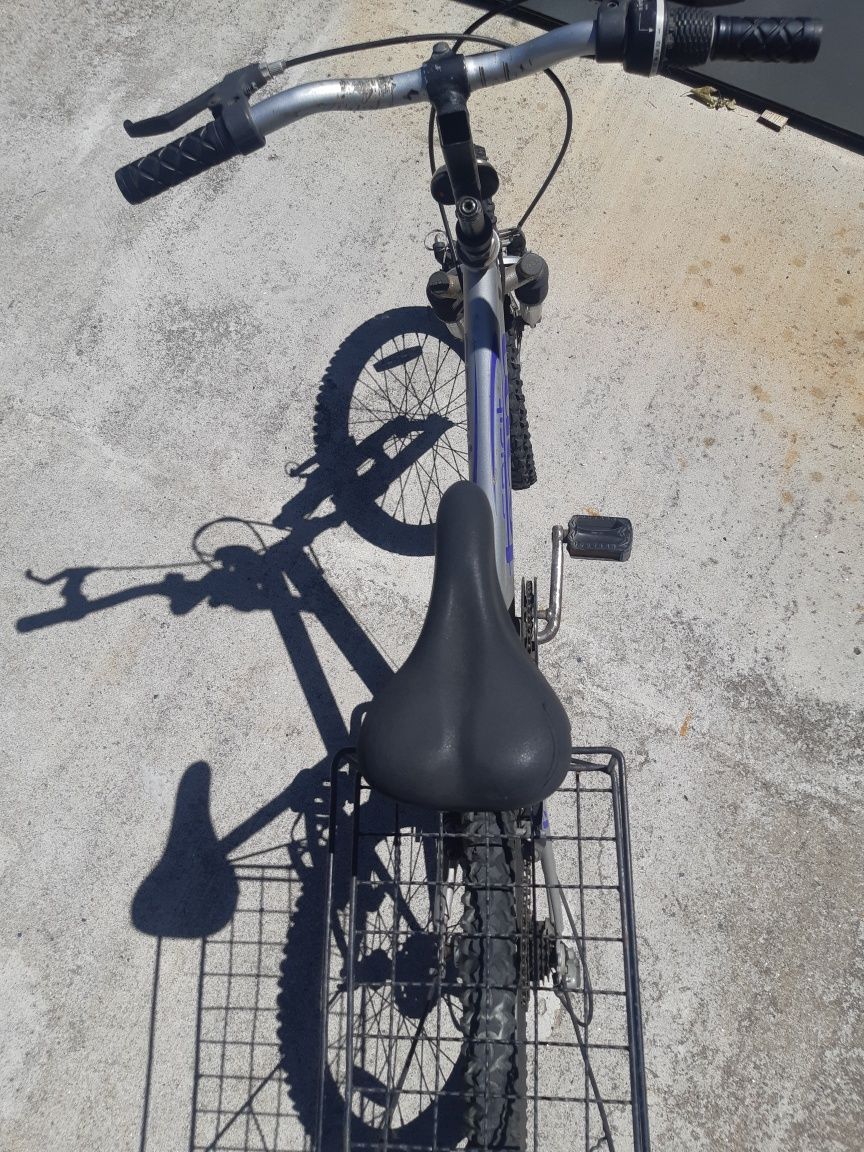 Bicicleta de roda 20