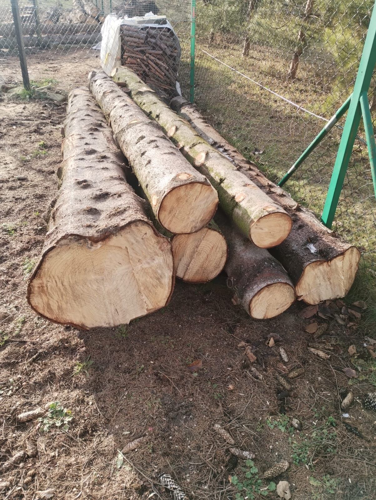 Drewno świerkowe 25szt. Po ok.3m (ok.30-letnie)