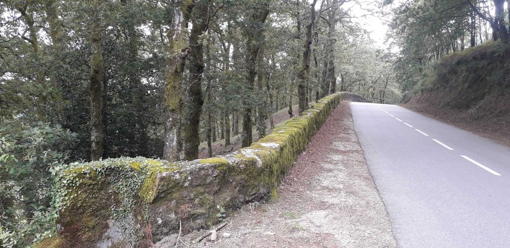 Propriedade com ca. 5 ha em Vieira do Minho