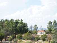 Quinta com 4,3 hectares junto à Aldeia Histórica de Sortelha