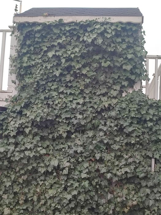 Domek dla dzieci, ogrodowy