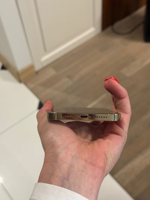 iPhone 12 Pro Max 256Gb