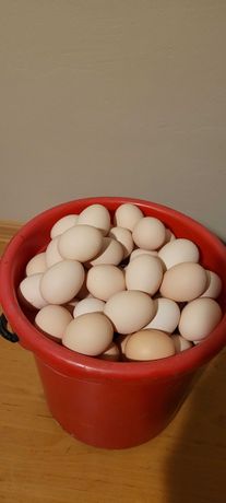 Swojskie jajeczka, jajka