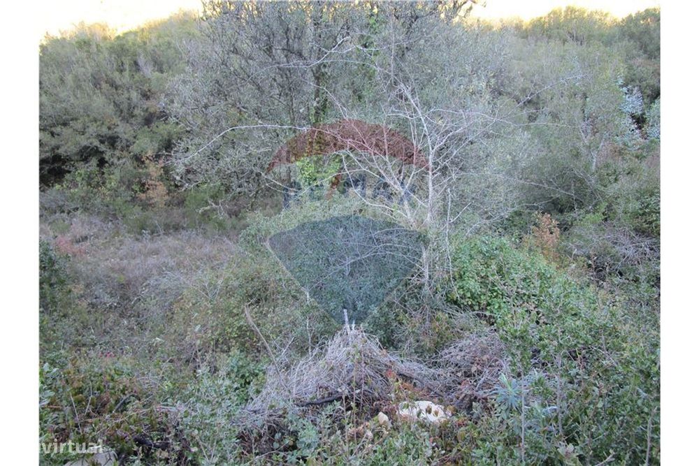 Terreno  para venda