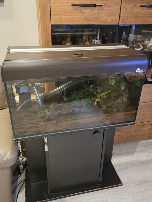 Oddam akwarium 120l- Rezerwacja
