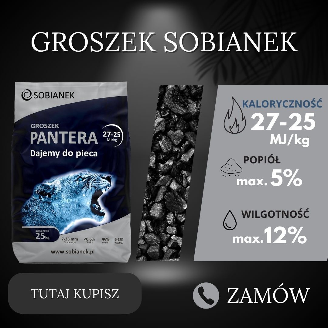 Groszek LEW Pantera SOBIANEK