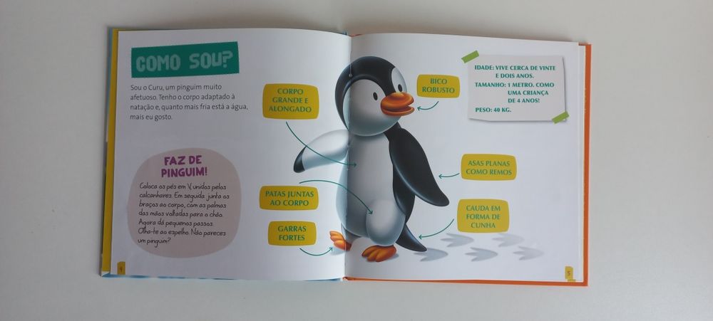 Coleção livros infantis