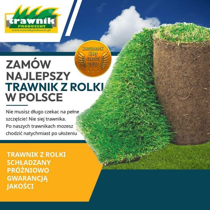 Trawa w rolce z rolki "Trawnik Producent" chłodzona próżniowo POLSKA